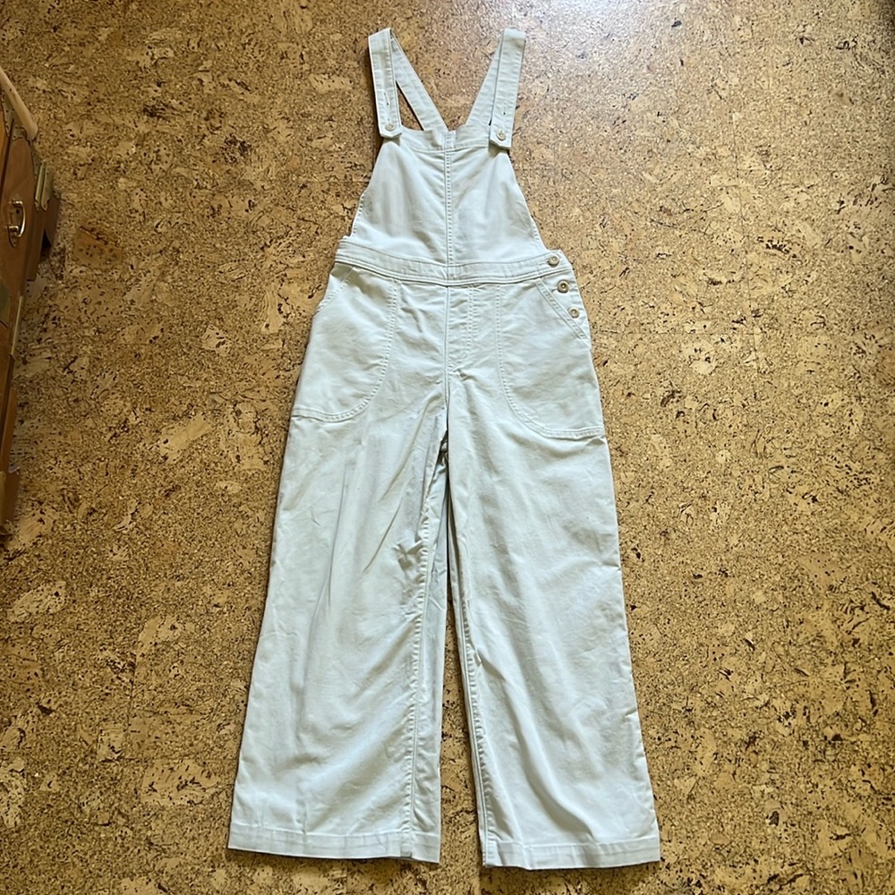 Patagonia organic cotton overalls